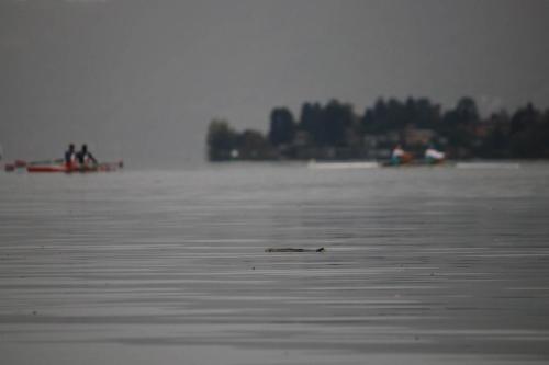 IMG_8099